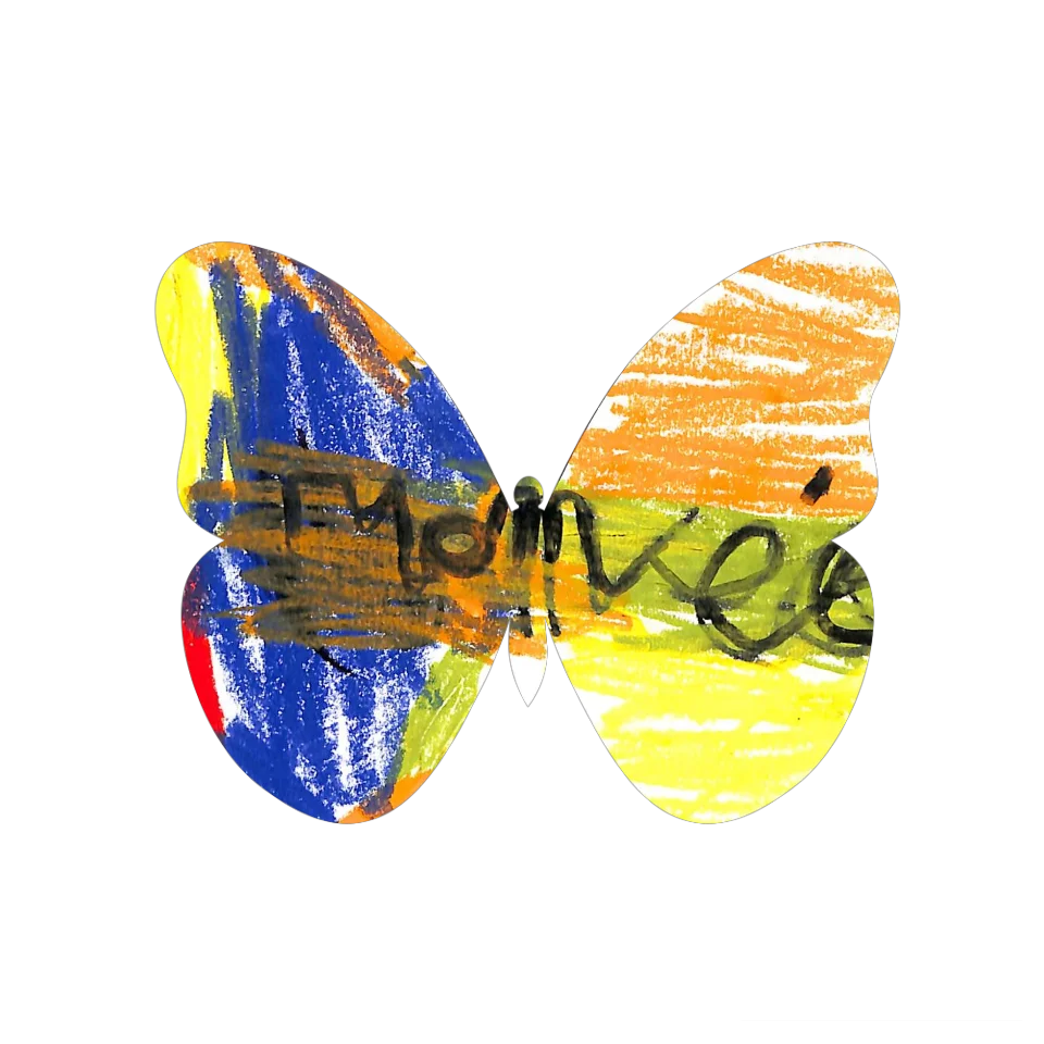 Original Butterfly Image