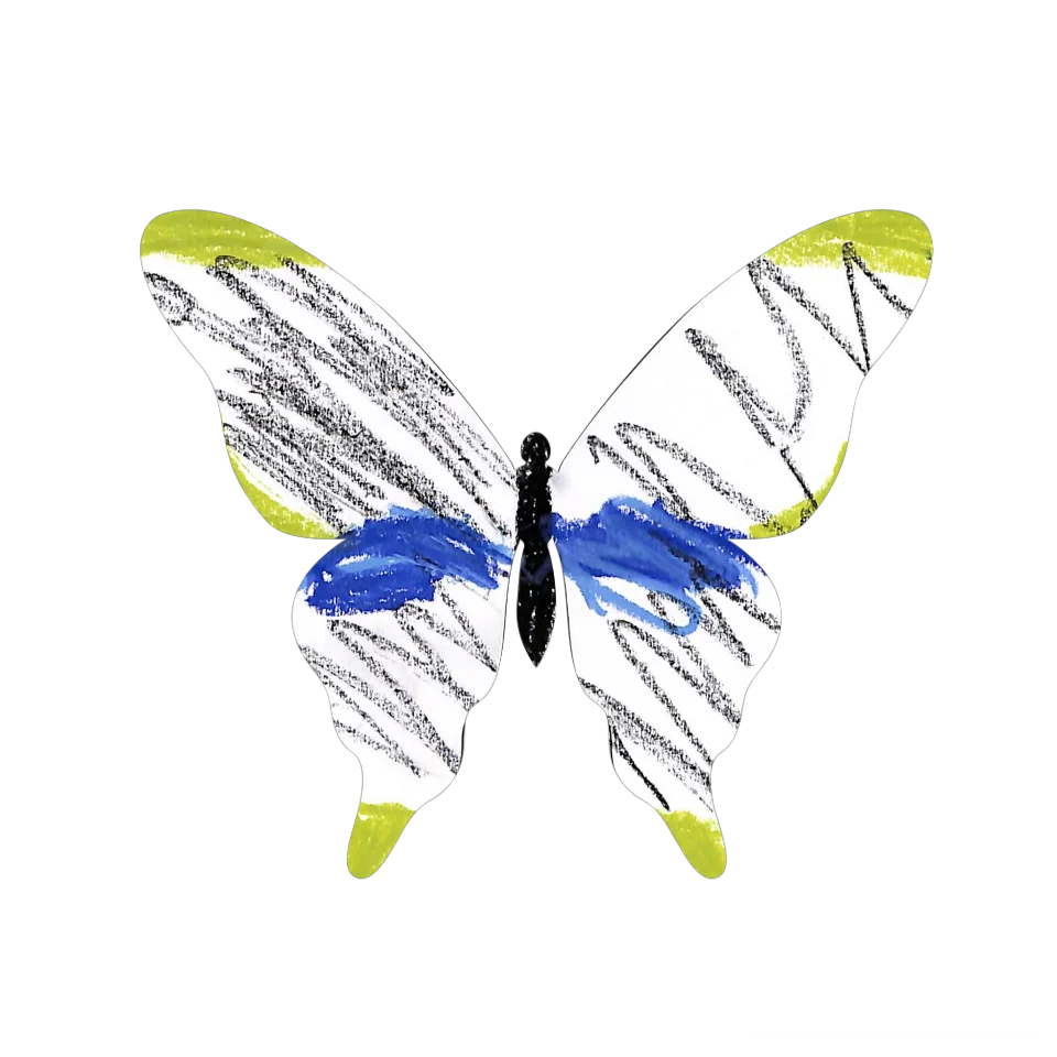 Original Butterfly Image