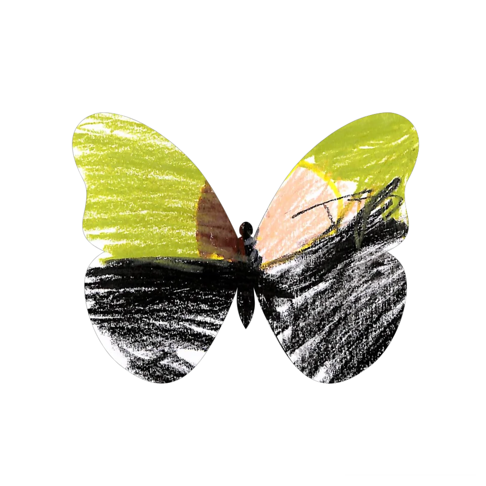 Original Butterfly Image