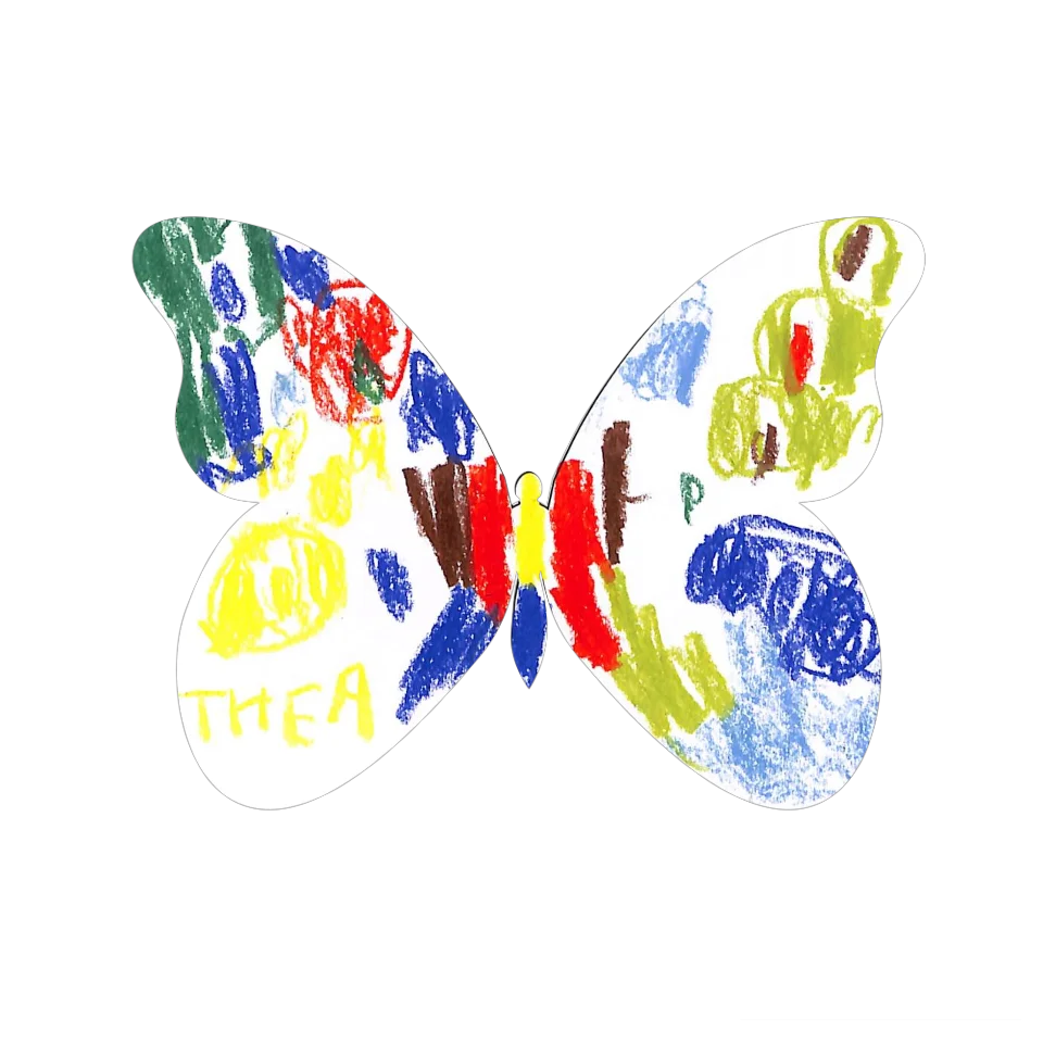 Original Butterfly Image