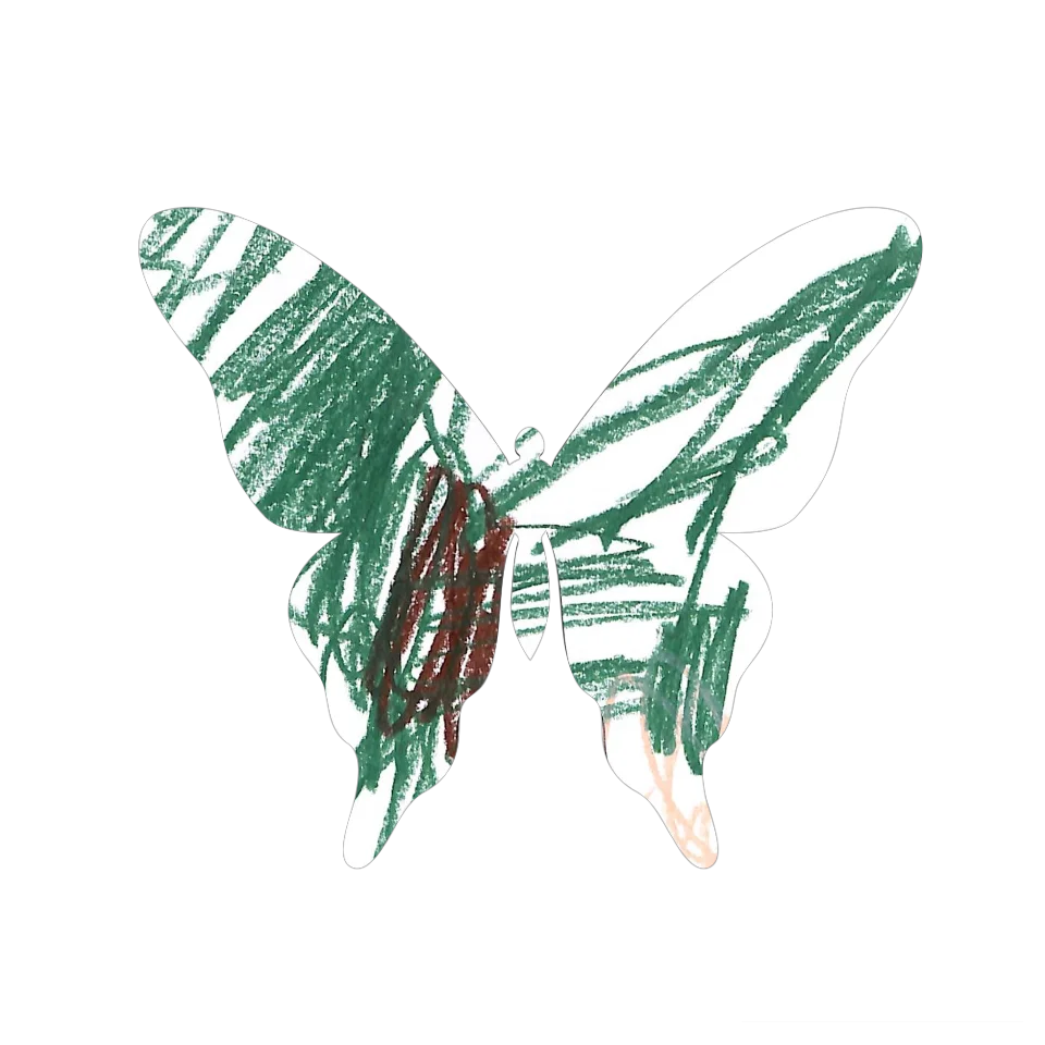 Original Butterfly Image