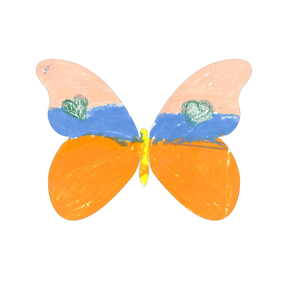 Original Butterfly Image