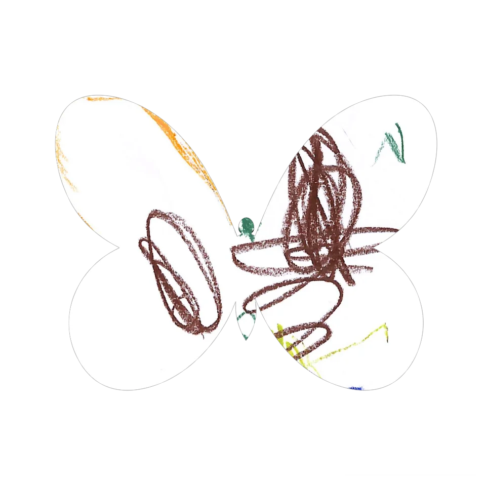 Original Butterfly Image