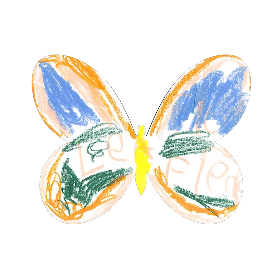 Original Butterfly Image
