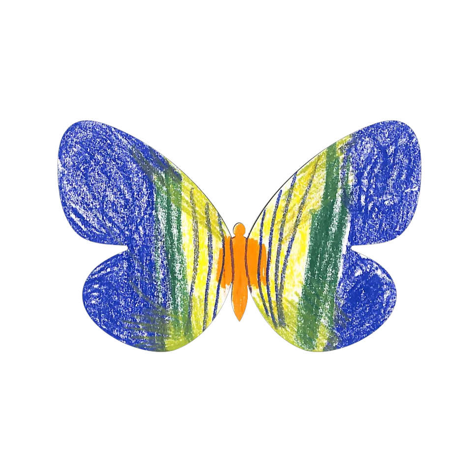 Original Butterfly Image