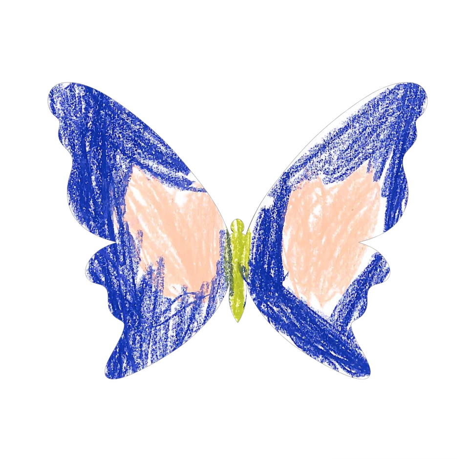 Original Butterfly Image