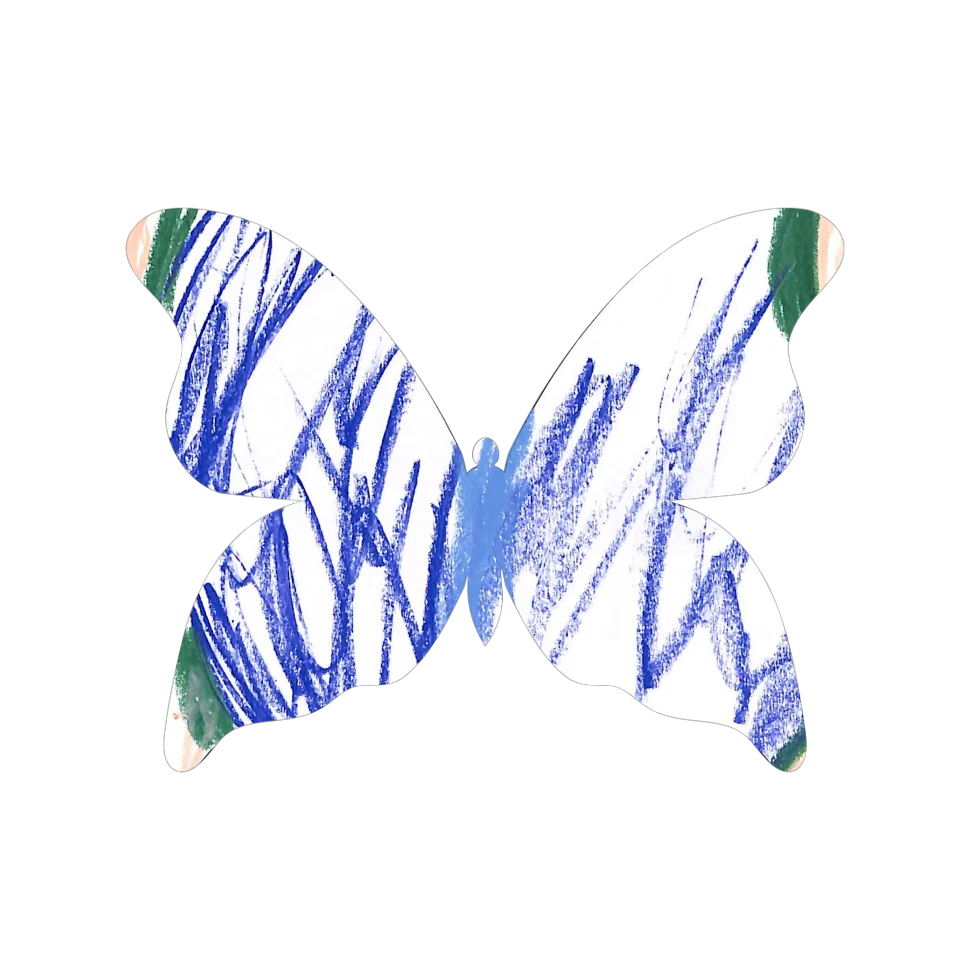 Original Butterfly Image