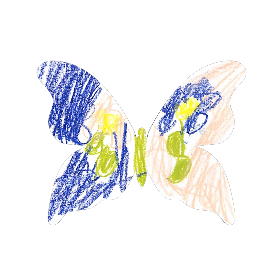 Original Butterfly Image