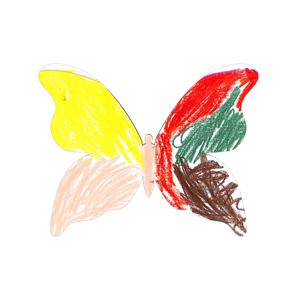 Original Butterfly Image