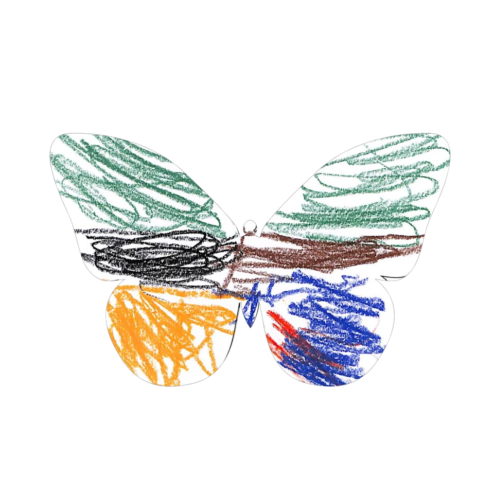 Original Butterfly Image