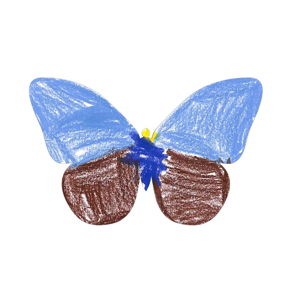 Original Butterfly Image