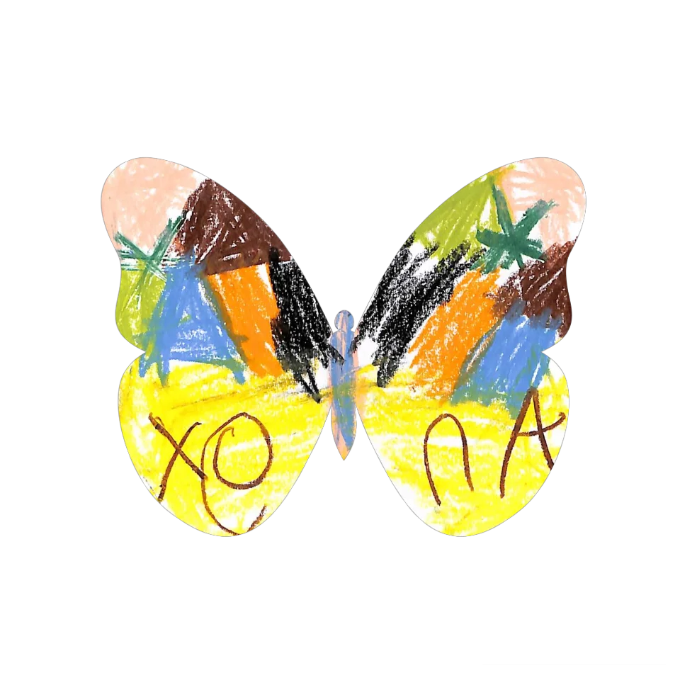 Original Butterfly Image