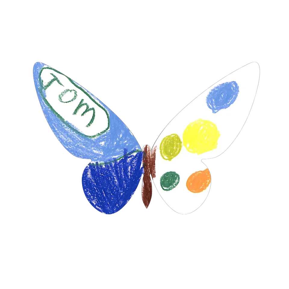 Original Butterfly Image