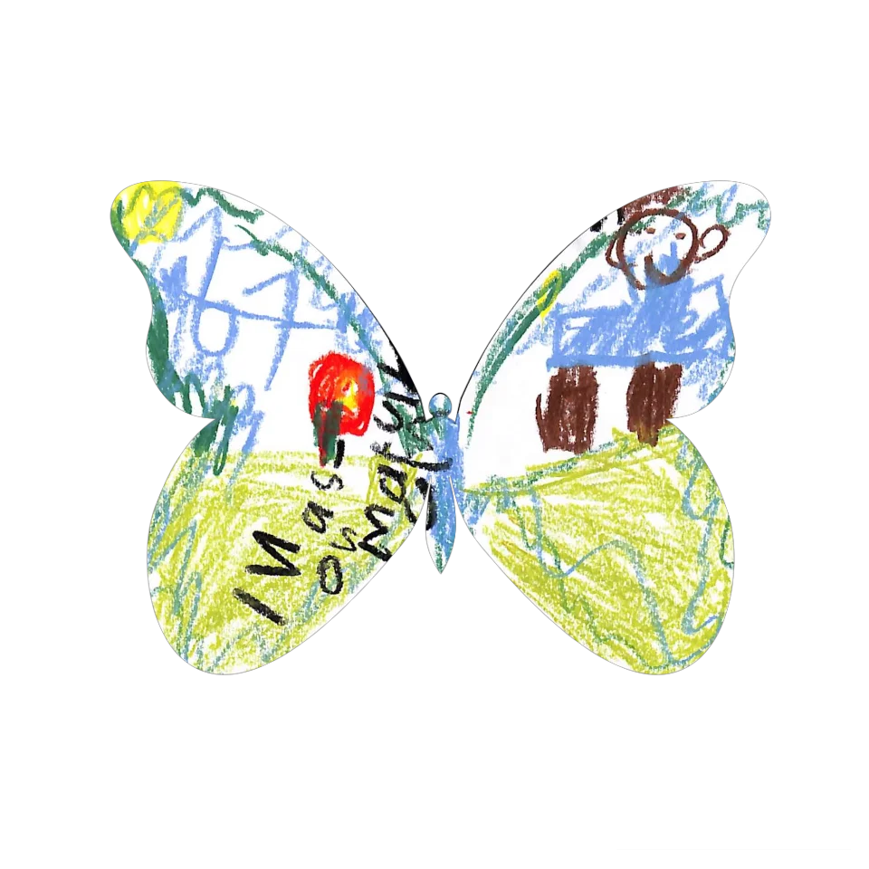 Original Butterfly Image
