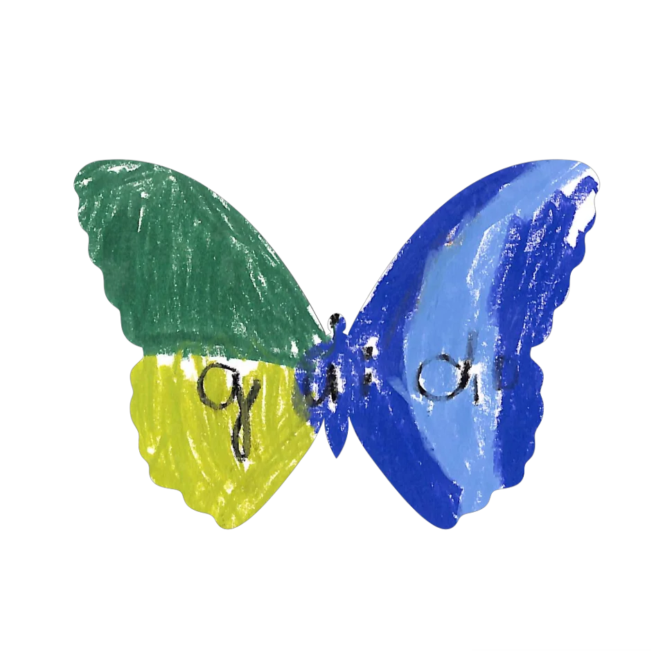 Original Butterfly Image