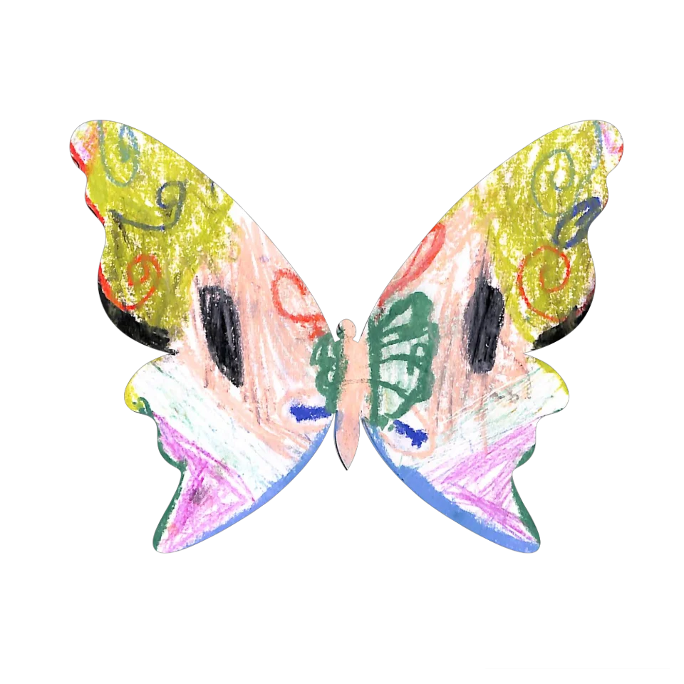 Original Butterfly Image
