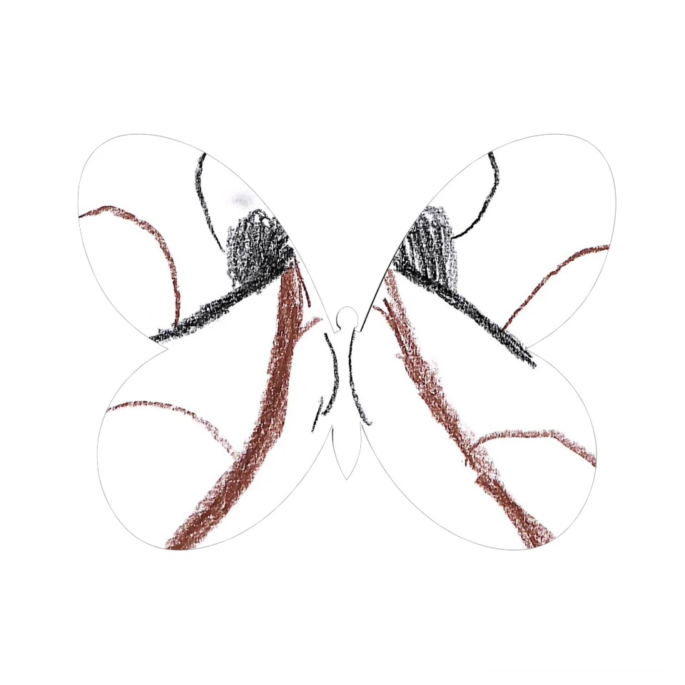 Original Butterfly Image