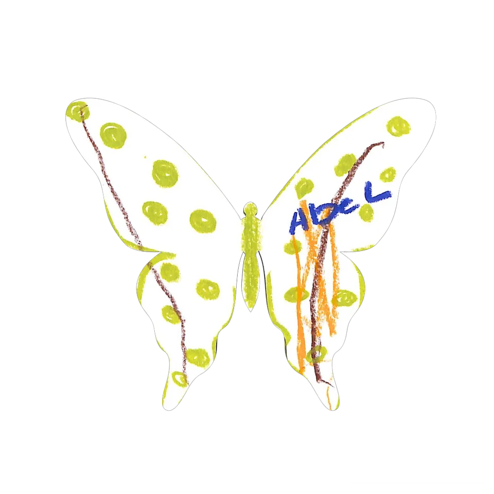 Original Butterfly Image