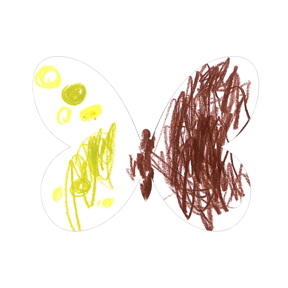 Original Butterfly Image