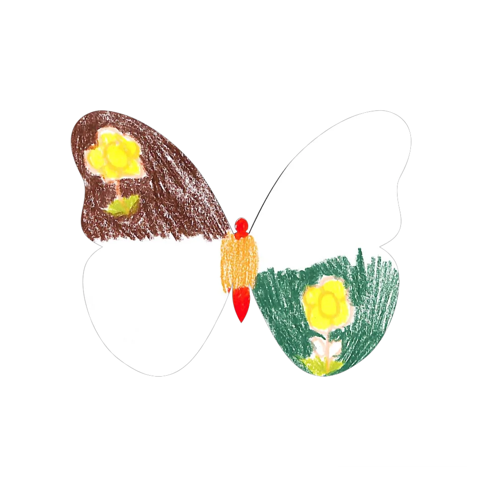 Original Butterfly Image