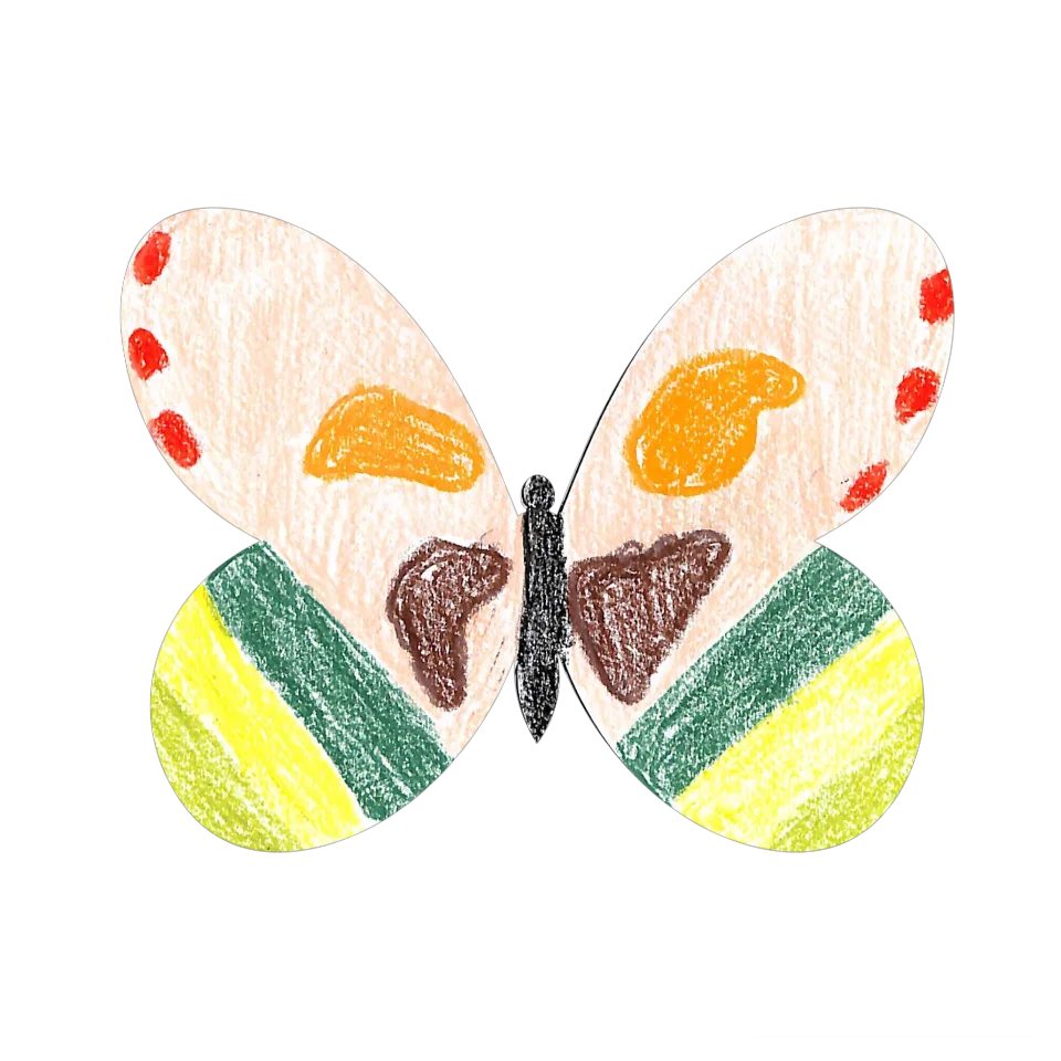 Original Butterfly Image