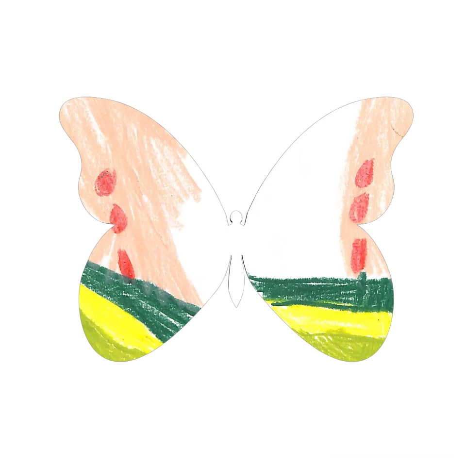 Original Butterfly Image