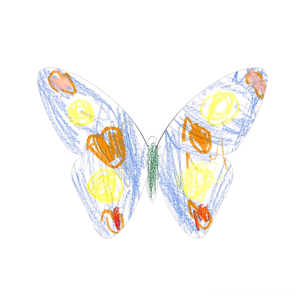 Original Butterfly Image