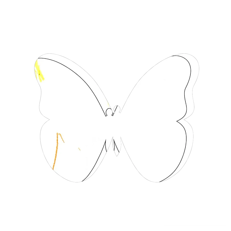 Original Butterfly Image