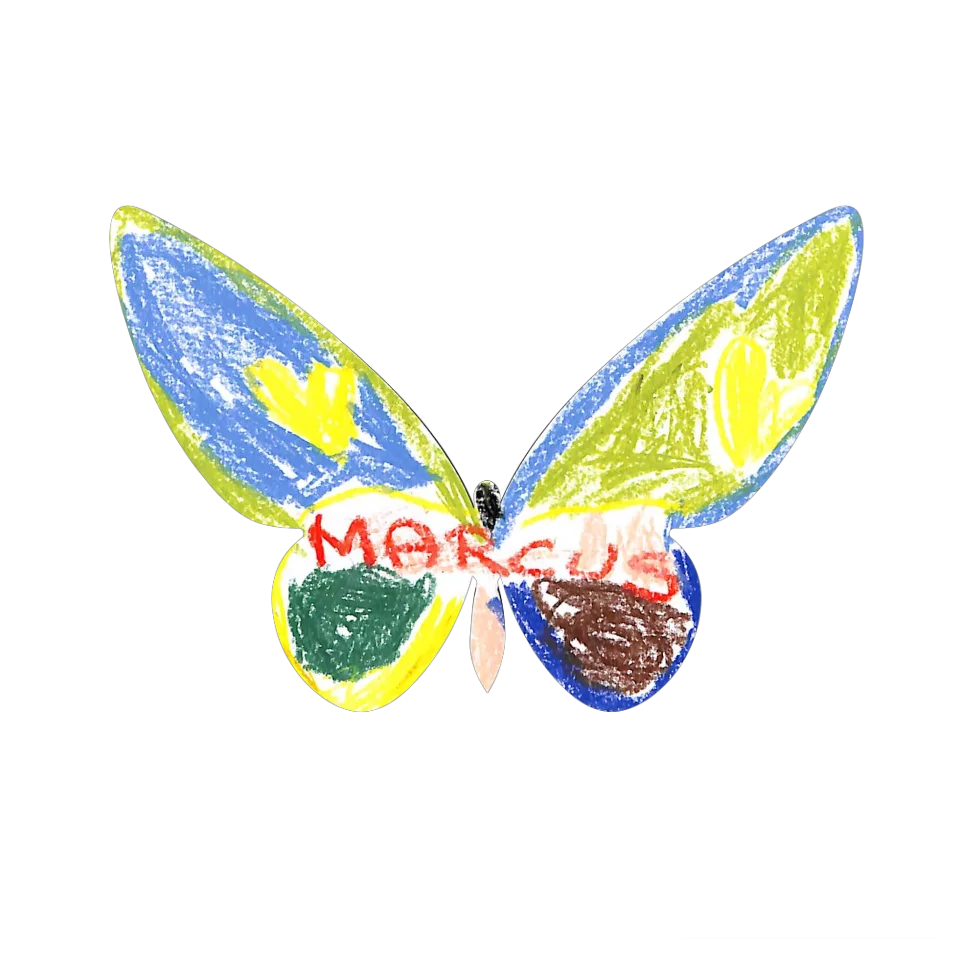 Original Butterfly Image
