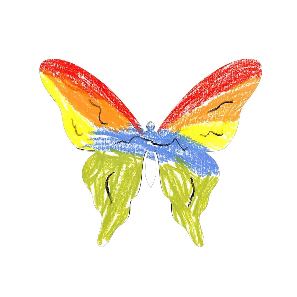 Original Butterfly Image