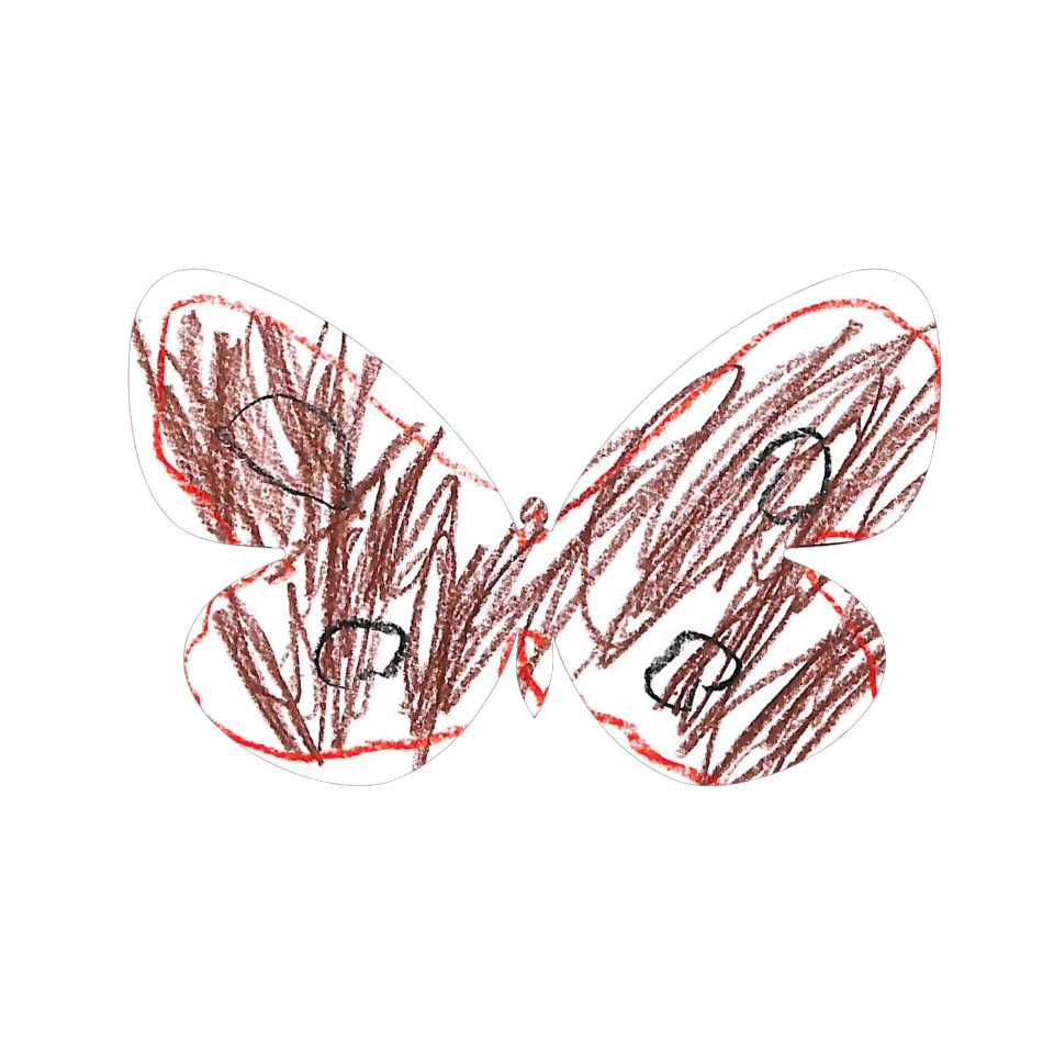 Original Butterfly Image