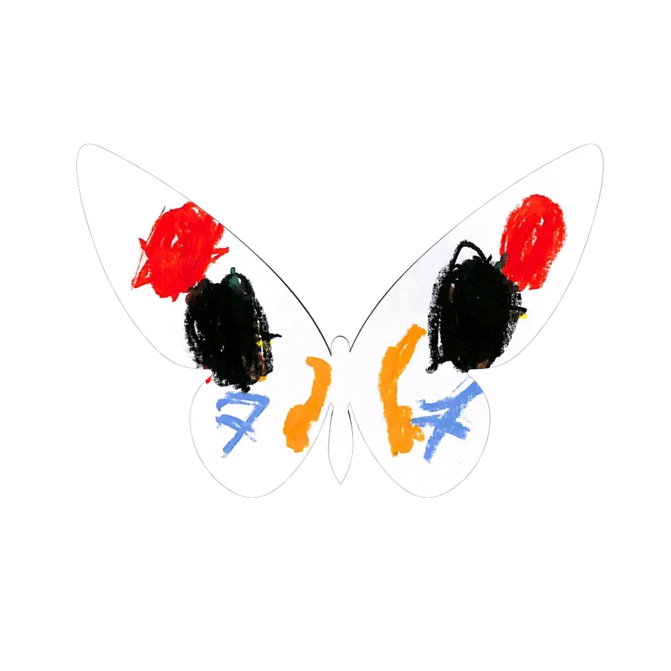 Original Butterfly Image