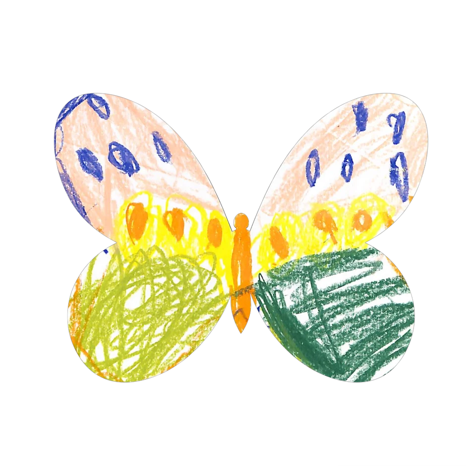 Original Butterfly Image
