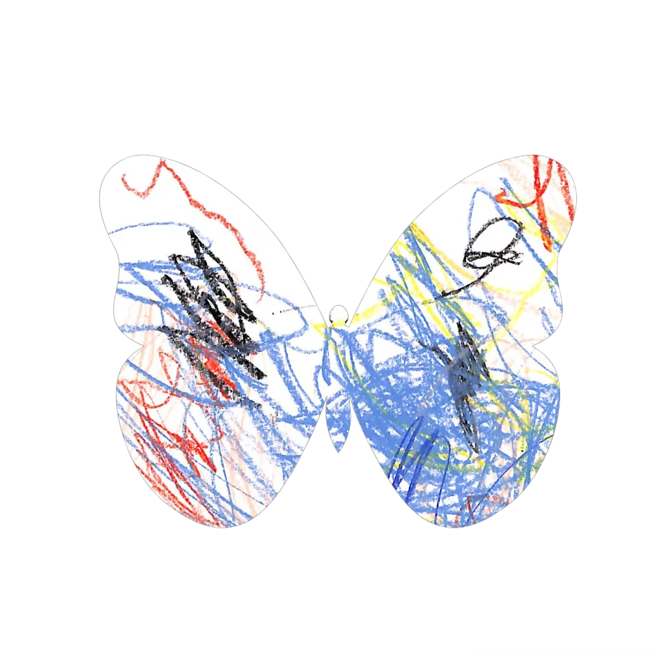 Original Butterfly Image