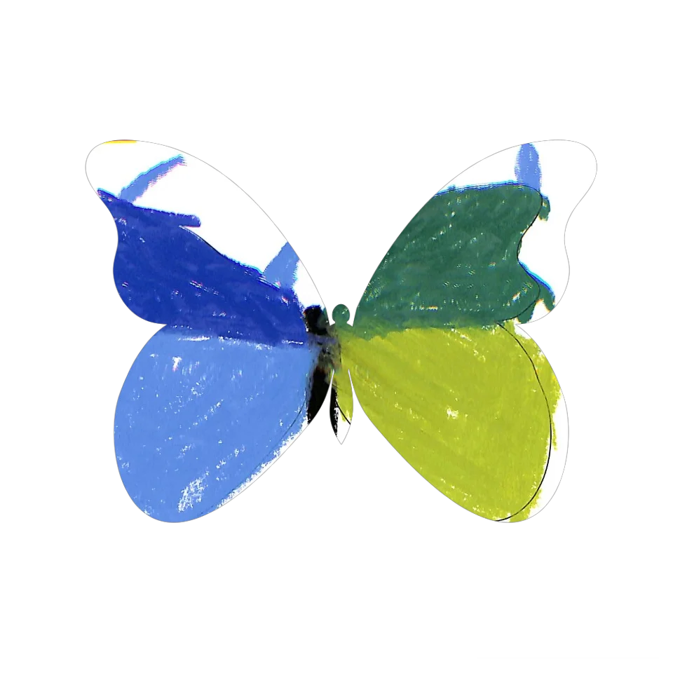 Original Butterfly Image