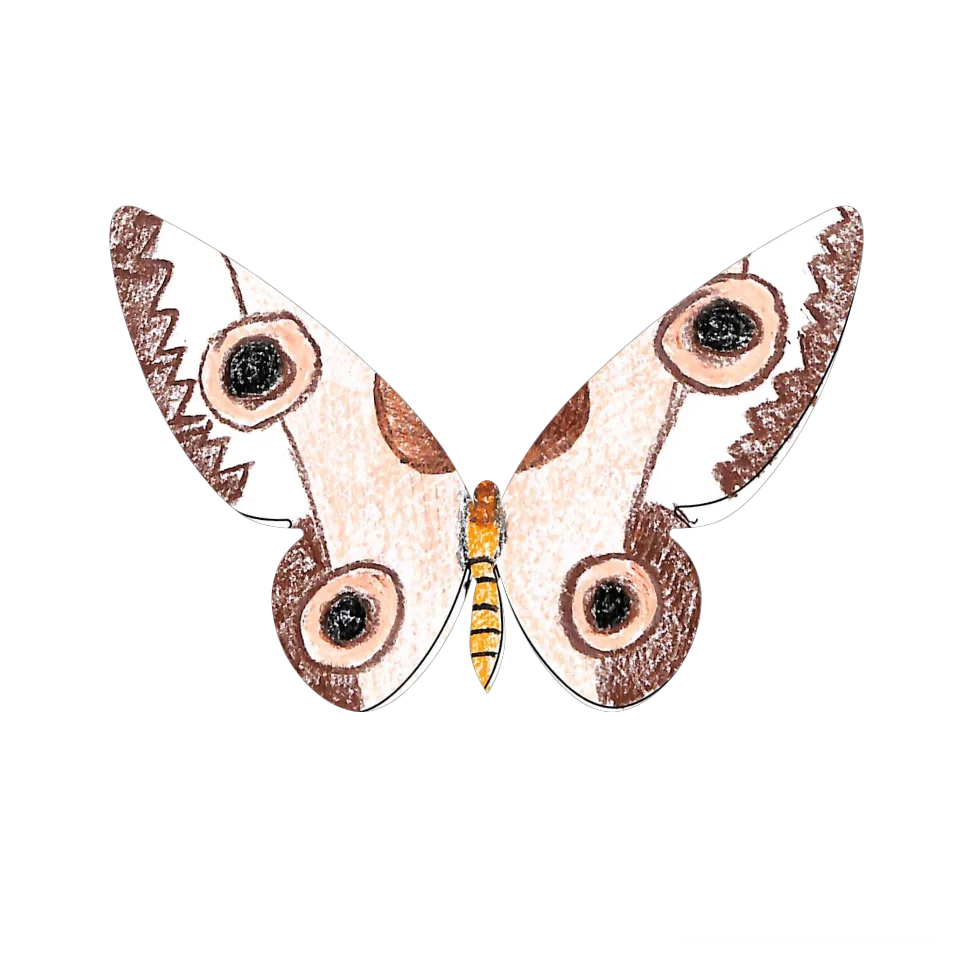 Original Butterfly Image