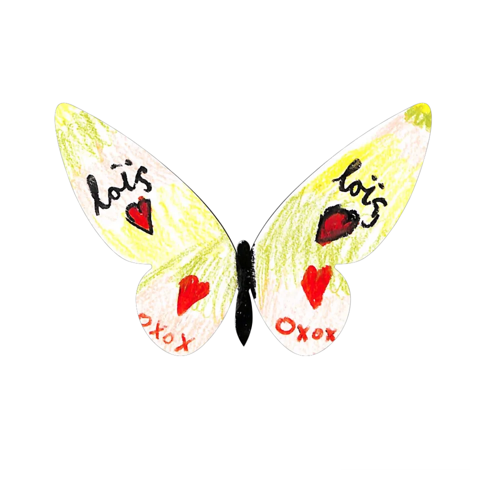 Original Butterfly Image