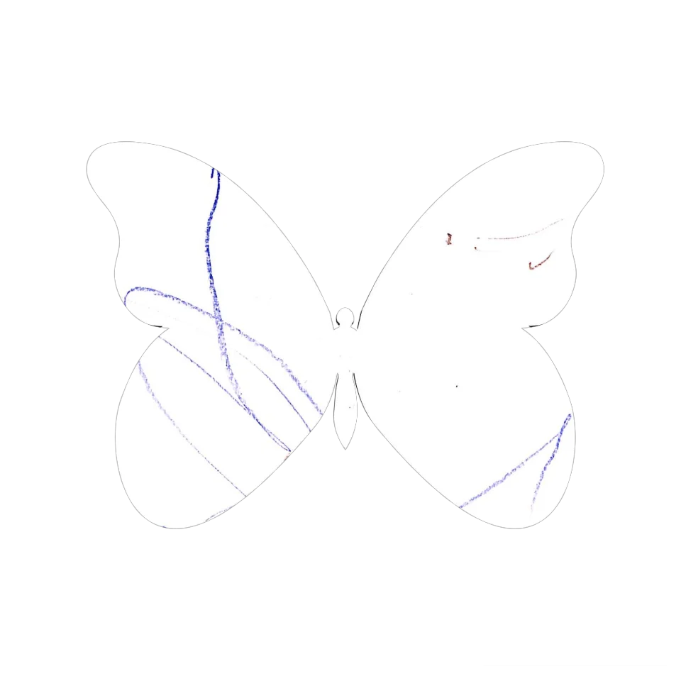 Original Butterfly Image