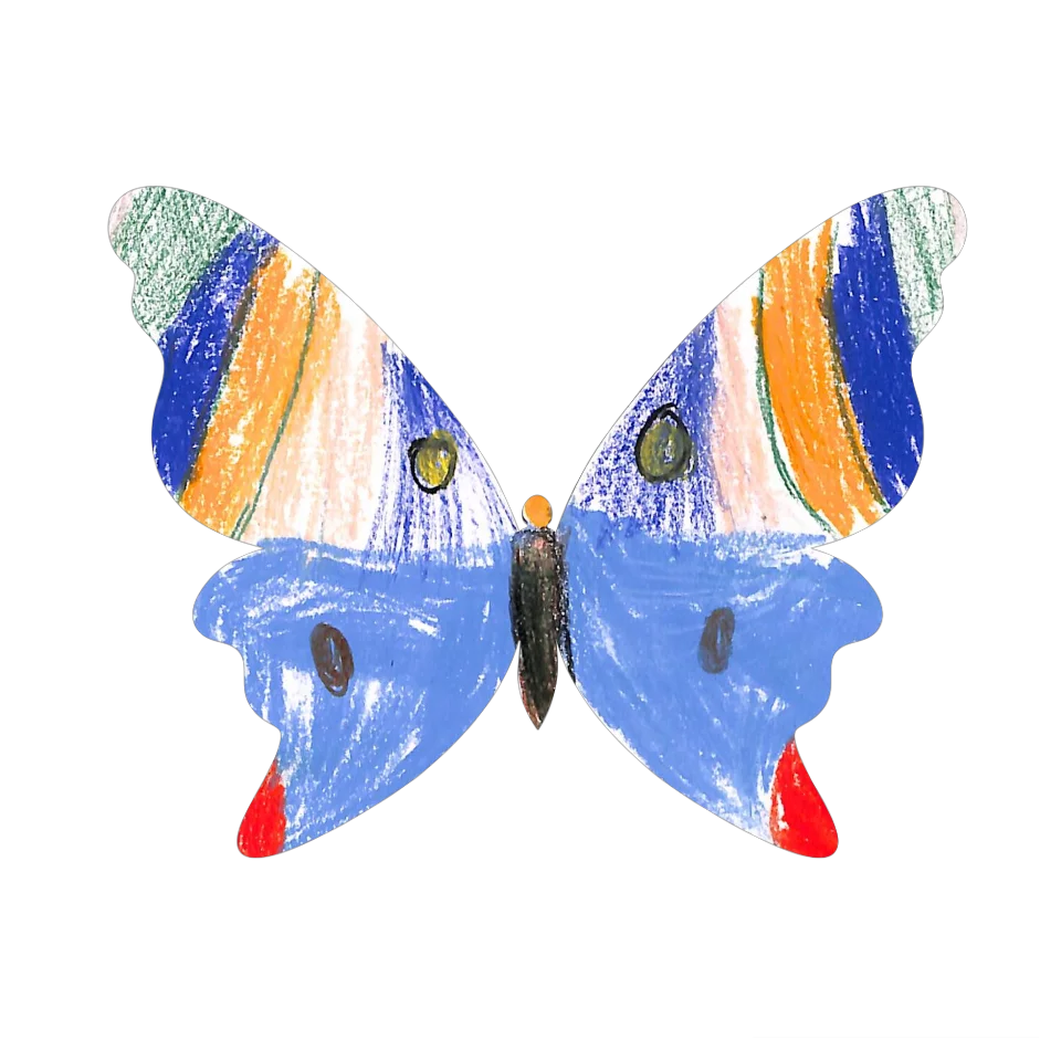 Original Butterfly Image