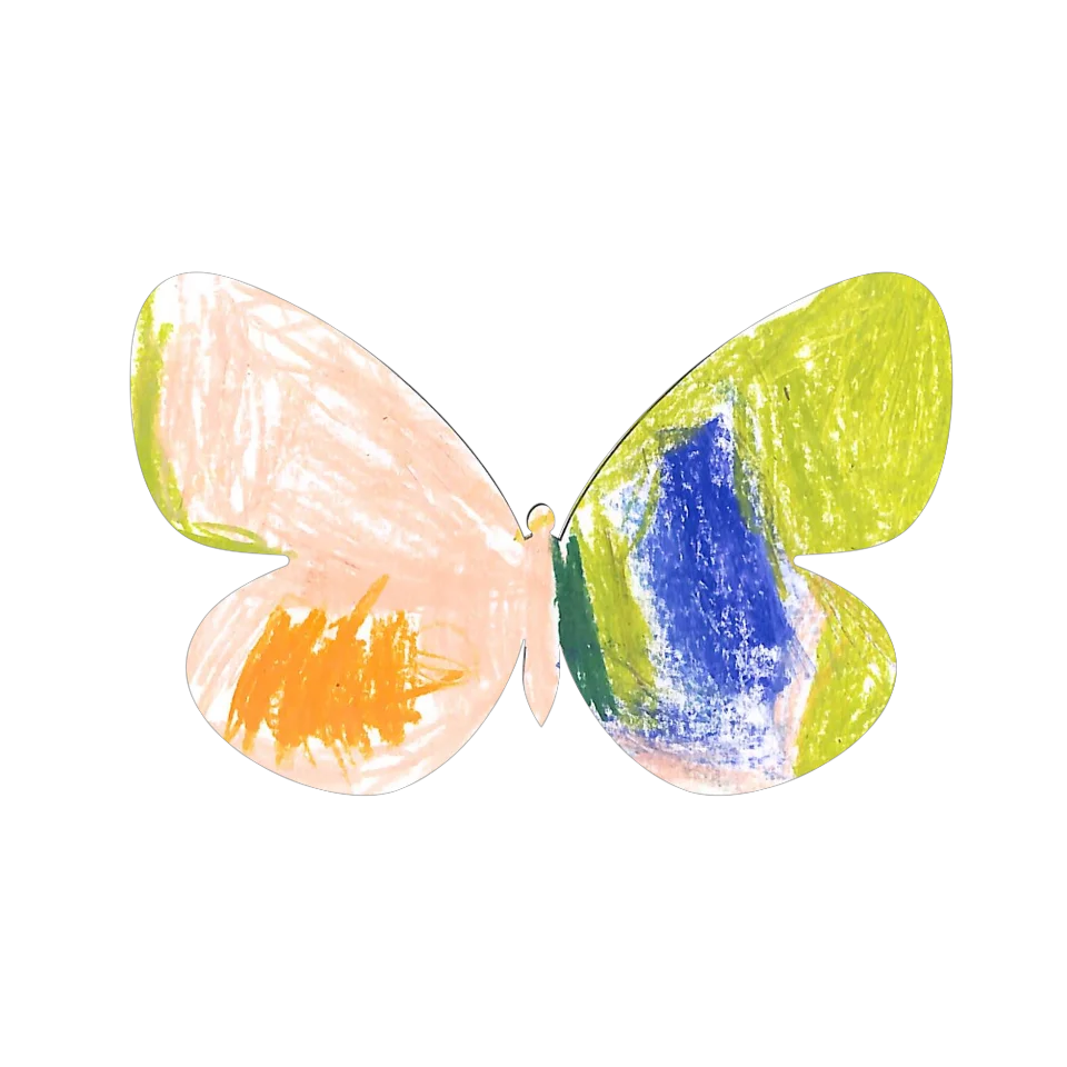 Original Butterfly Image