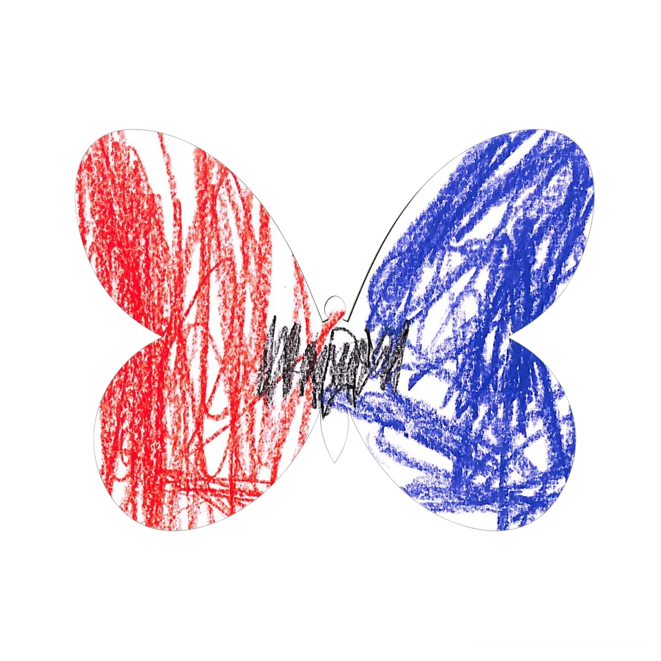 Original Butterfly Image