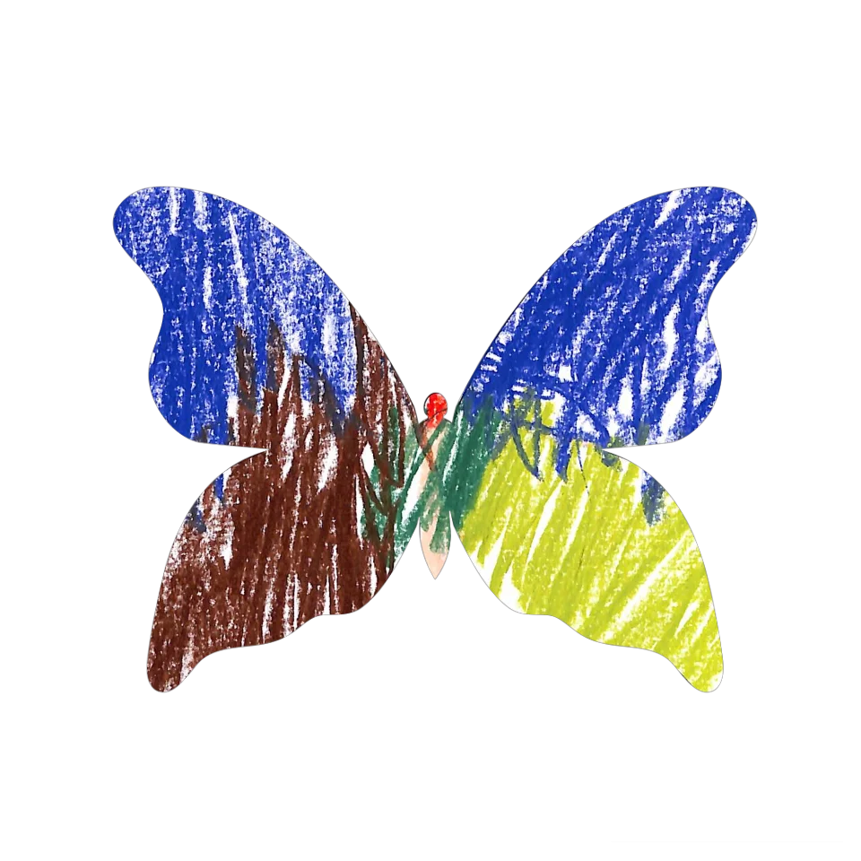 Original Butterfly Image