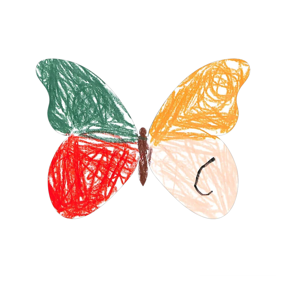 Original Butterfly Image