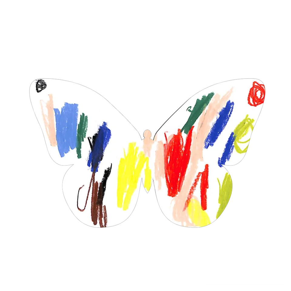 Original Butterfly Image