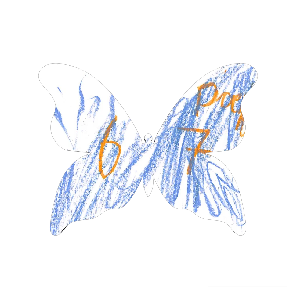 Original Butterfly Image