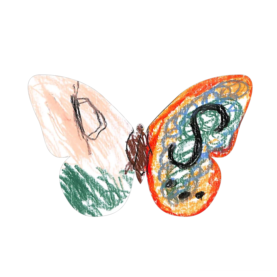 Original Butterfly Image