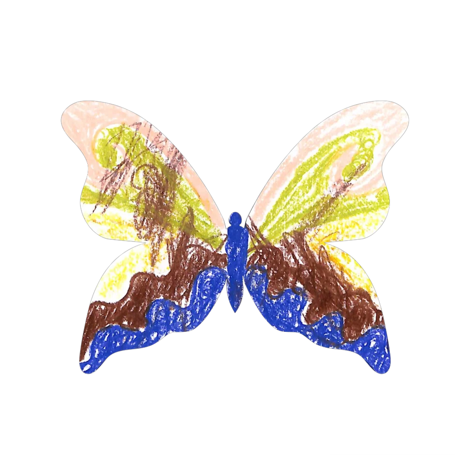 Original Butterfly Image