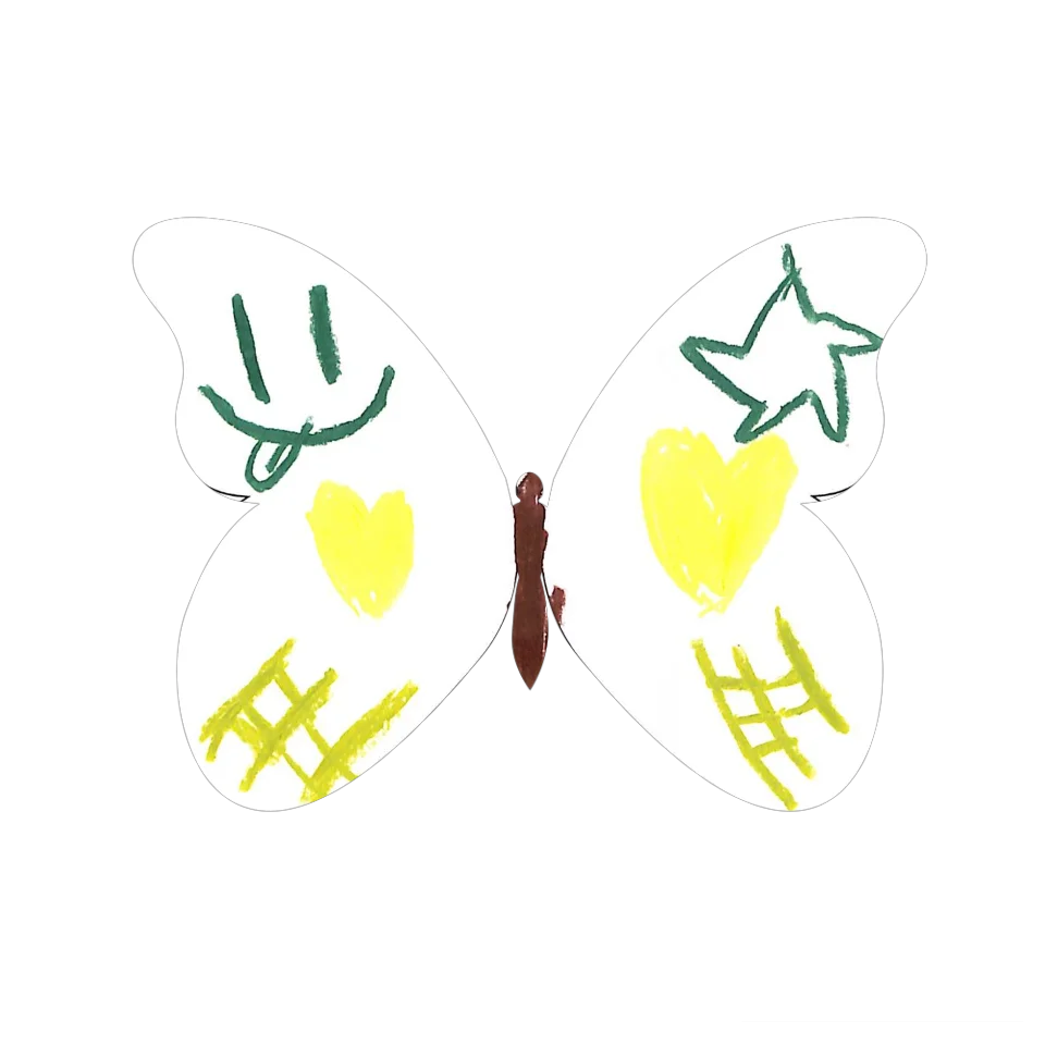Original Butterfly Image