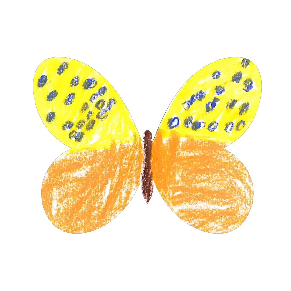 Original Butterfly Image