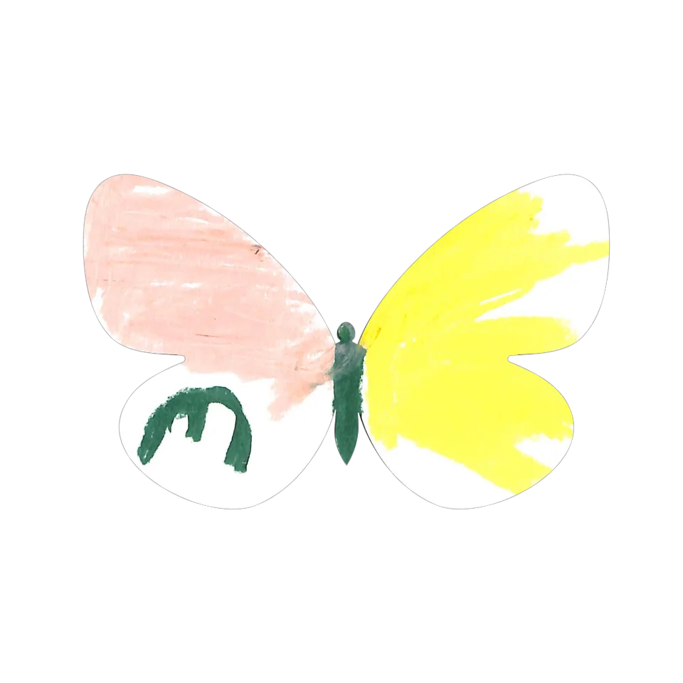Original Butterfly Image